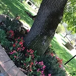 Azienda Agrituristica I Tre Casali 4*