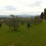 Azienda Agrituristica I Tre Casali 4* Magione