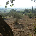 Апарт-отель Azienda Agrituristica I Tre Casali Маджоне
