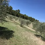 Azienda Agrituristica I Tre Casali