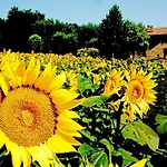 Azienda Agrituristica I Tre Casali 4* Magione