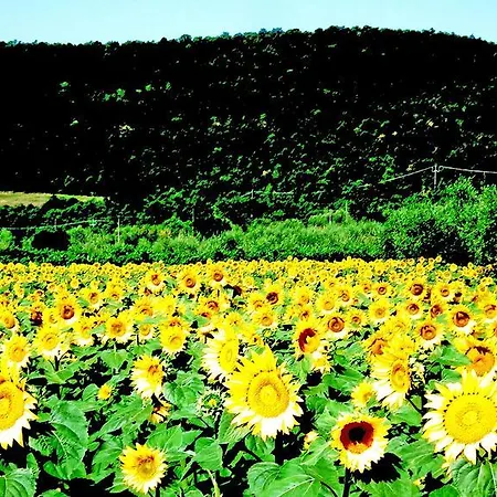 Azienda Agrituristica I Tre Casali