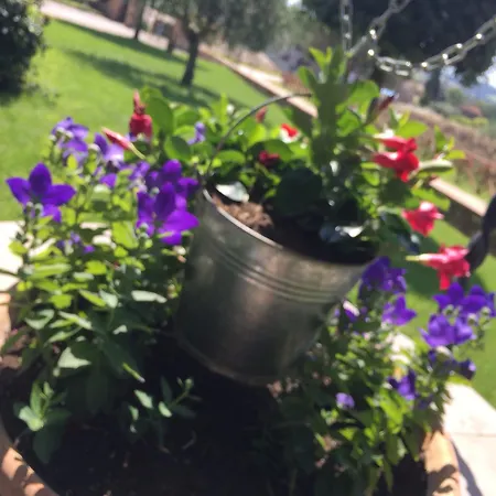 Azienda Agrituristica I Tre Casali 4*