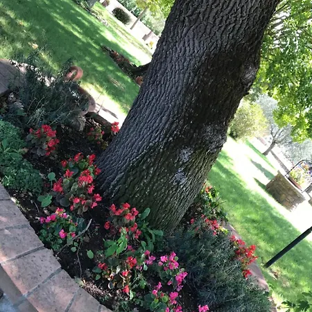 Azienda Agrituristica I Tre Casali 4*