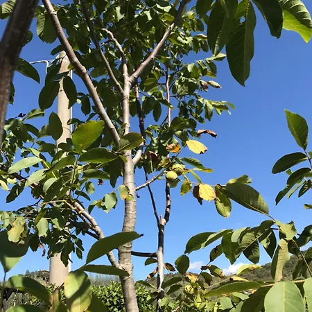 מלון דירות Azienda Agrituristica I Tre Casali 4*