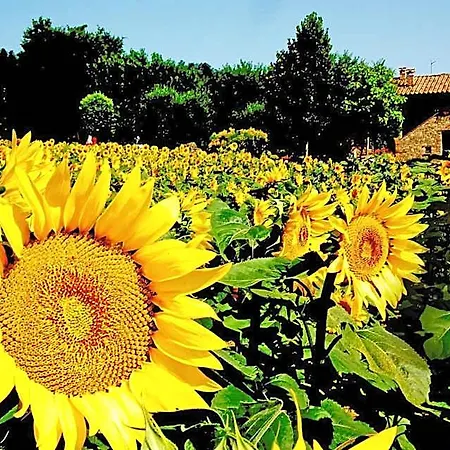מלון דירות Azienda Agrituristica I Tre Casali 4*
