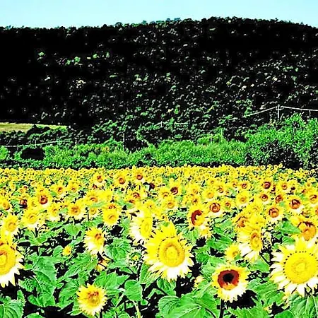 Azienda Agrituristica I Tre Casali 4*