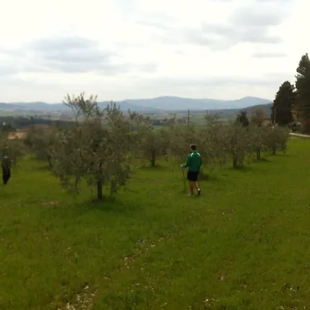 Azienda Agrituristica I Tre Casali 4* מאג'ונה