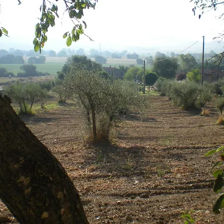 מלון דירות Azienda Agrituristica I Tre Casali מאג'ונה