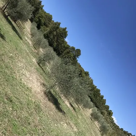 Azienda Agrituristica I Tre Casali מלון דירות 4*