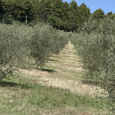 Azienda Agrituristica I Tre Casali מאג'ונה