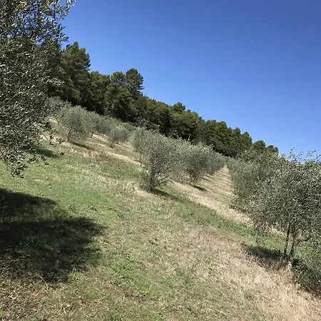 Azienda Agrituristica I Tre Casali