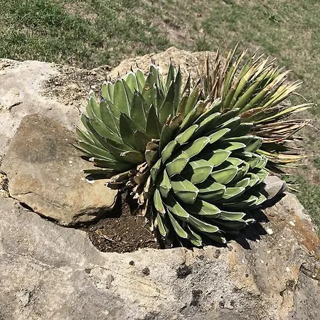 Azienda Agrituristica I Tre Casali 4* Magione